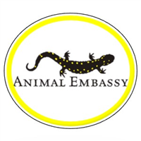 Summer Reading Program Wrap Up with Animal Embassy Badge